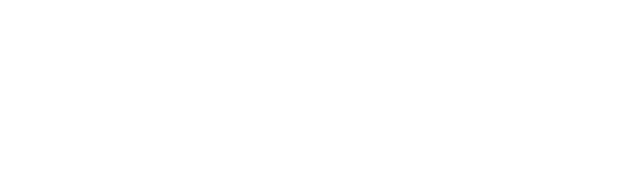 Scottsdale Family Smiles logo in white